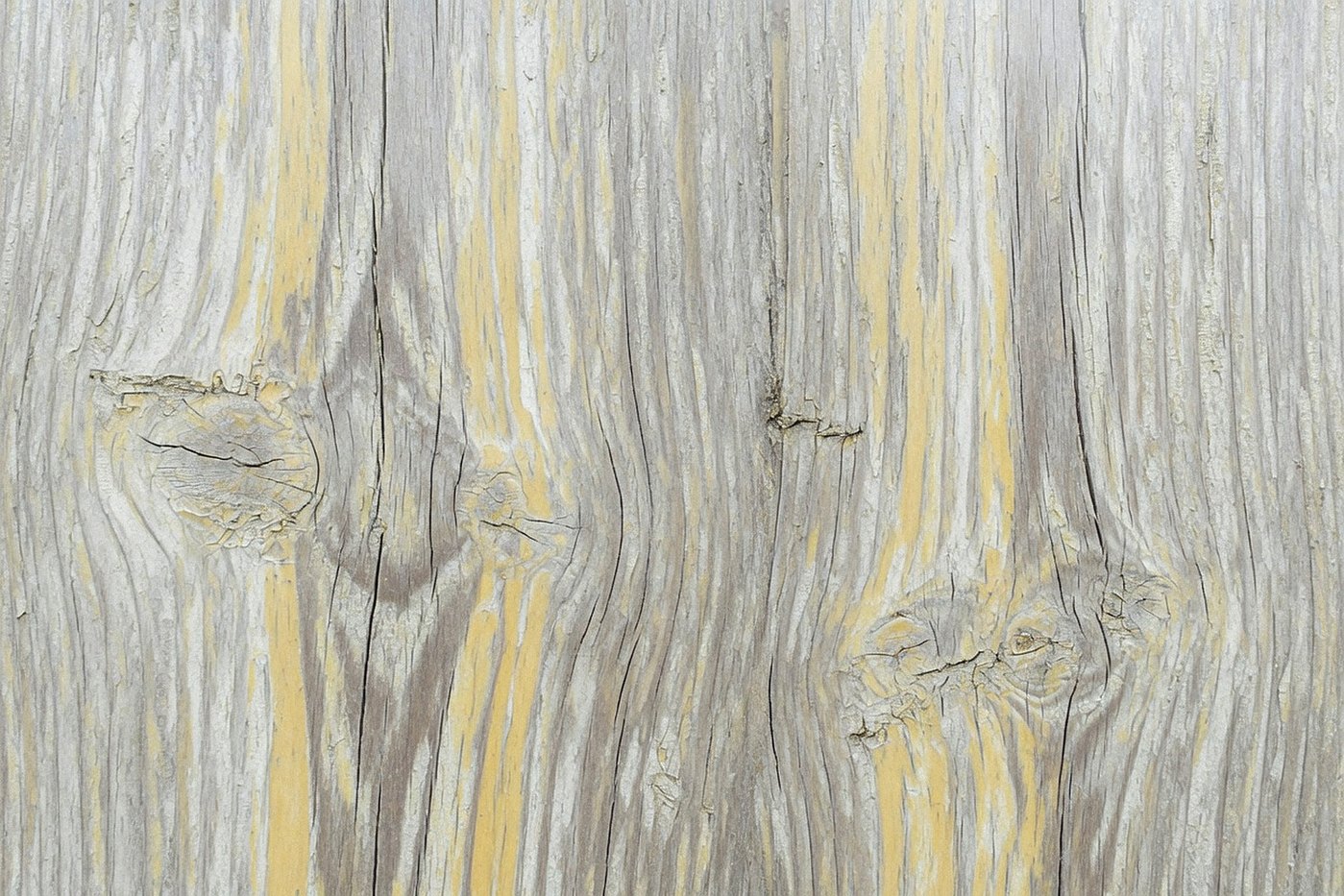 Silvered Pine