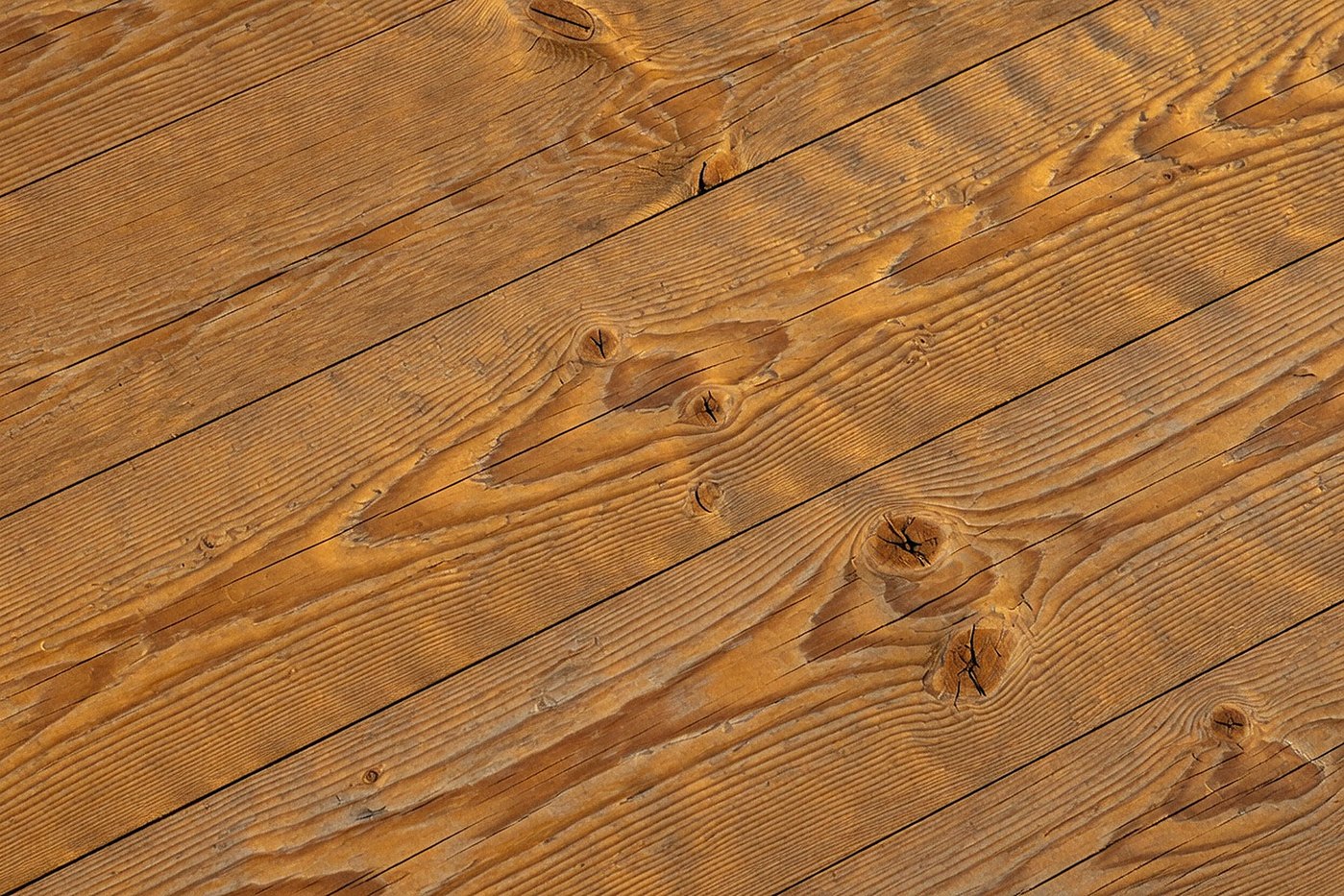 Warm Plank