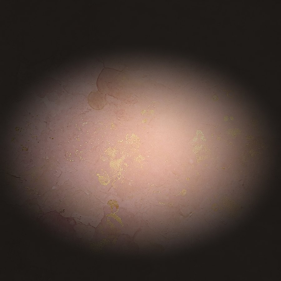 Stamp 01