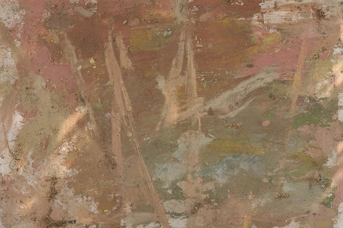 Trail Dust