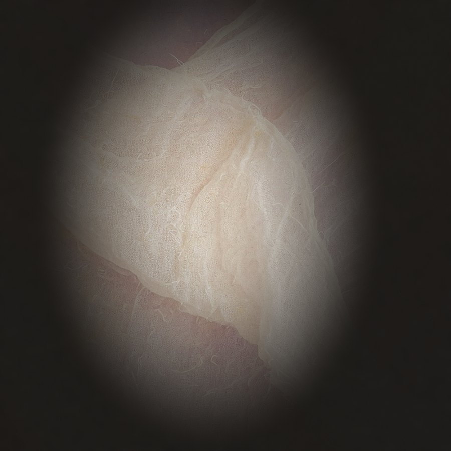Stamp 03