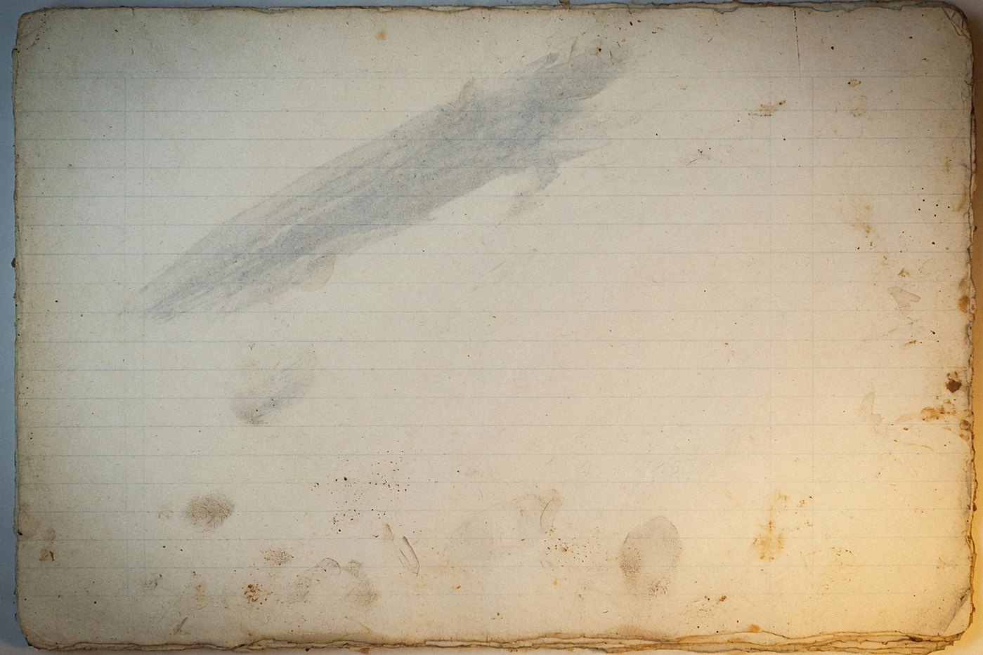Ledger Dust