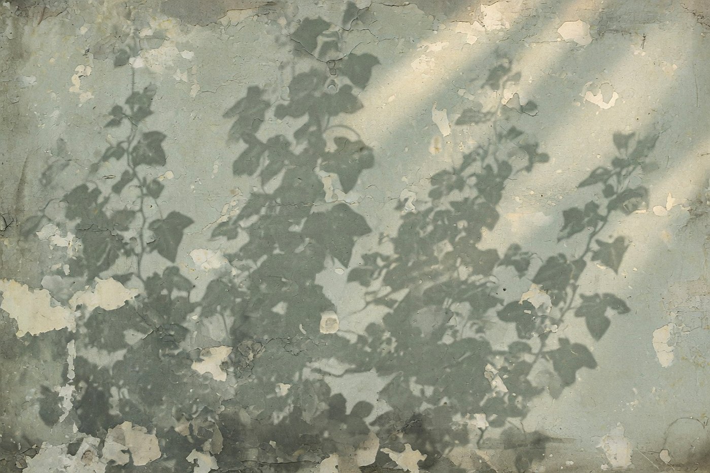 Ivy Ghost