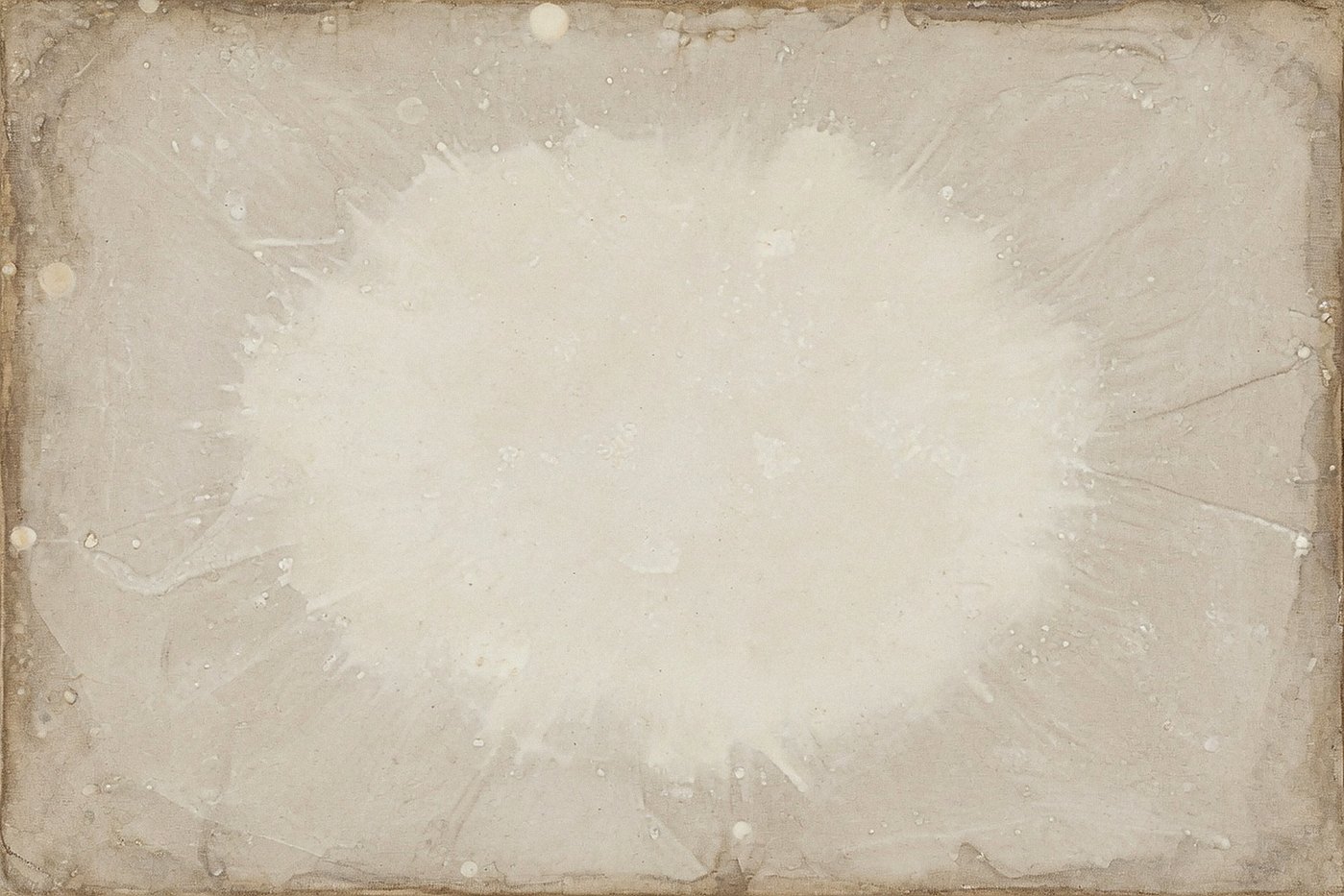 Ivory Wash