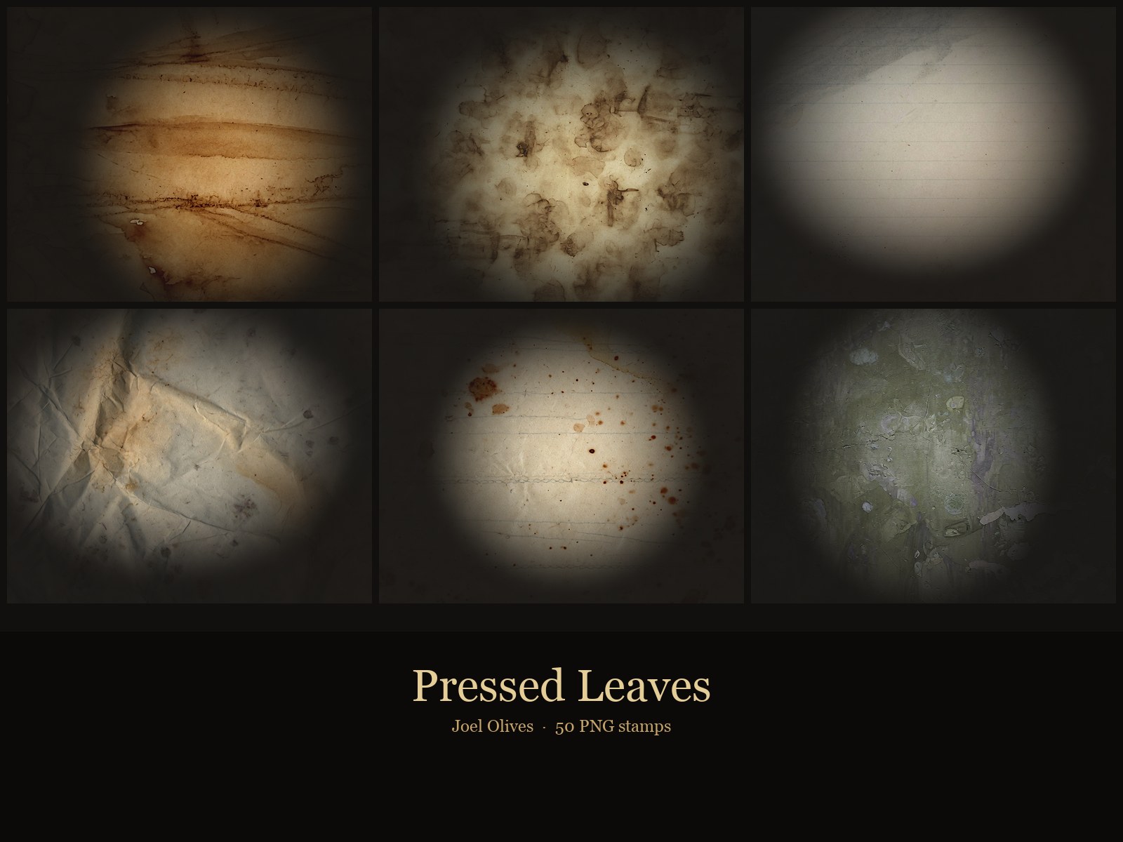 Pressed Leaves