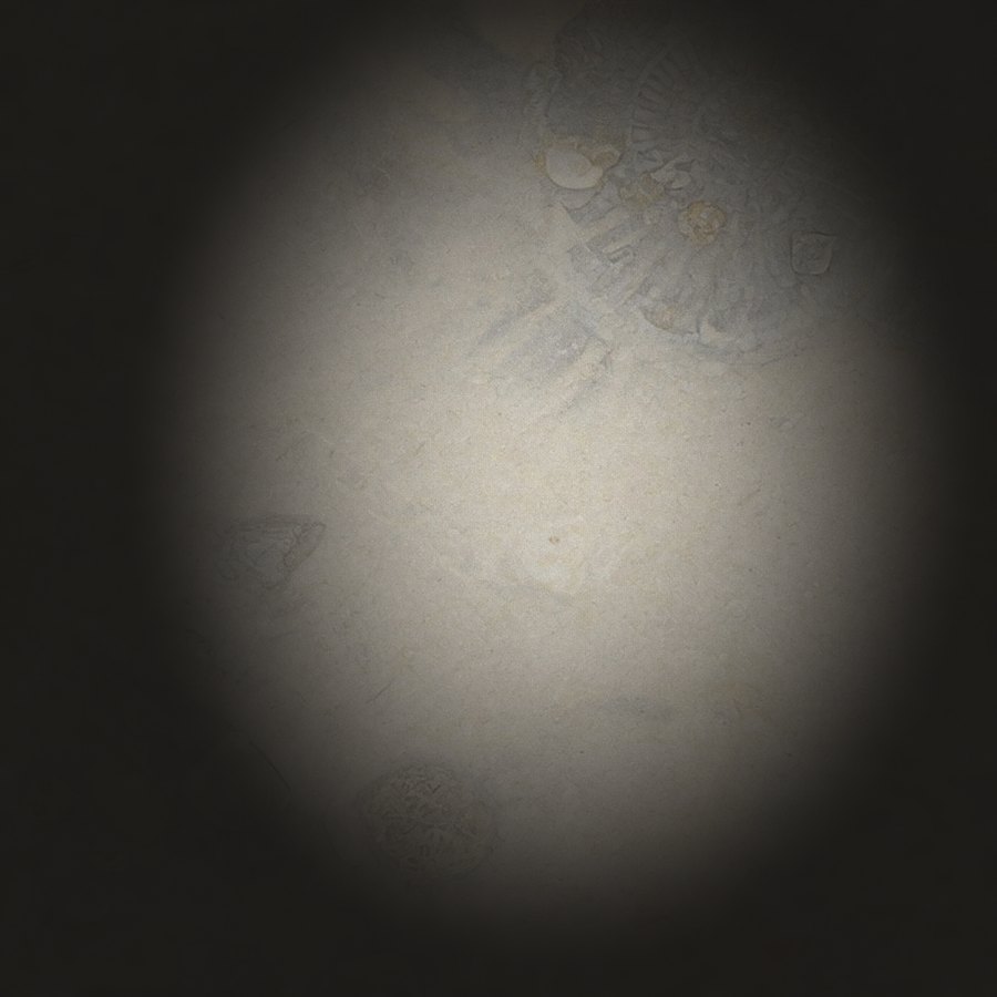 Stamp 05