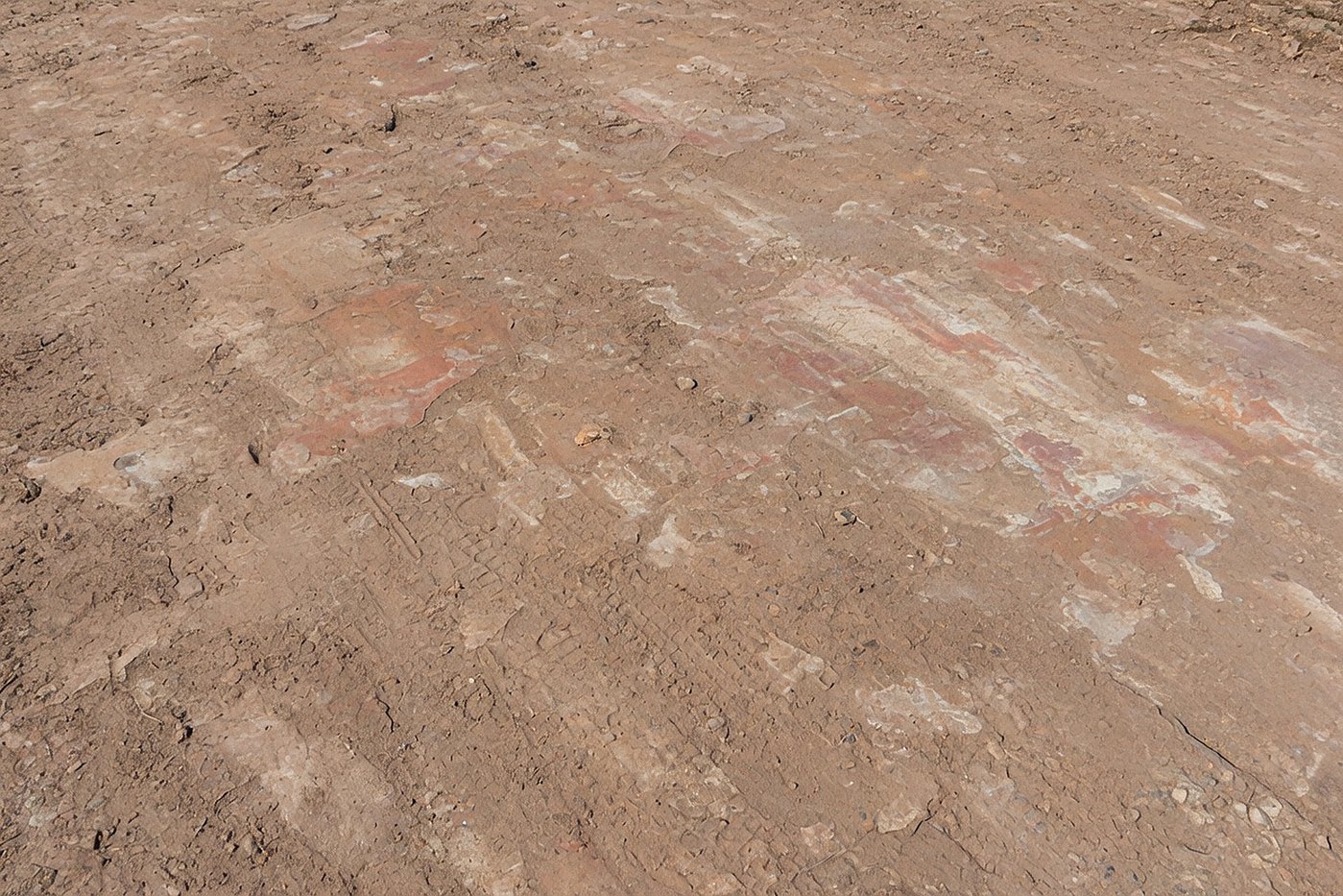 Soil Path