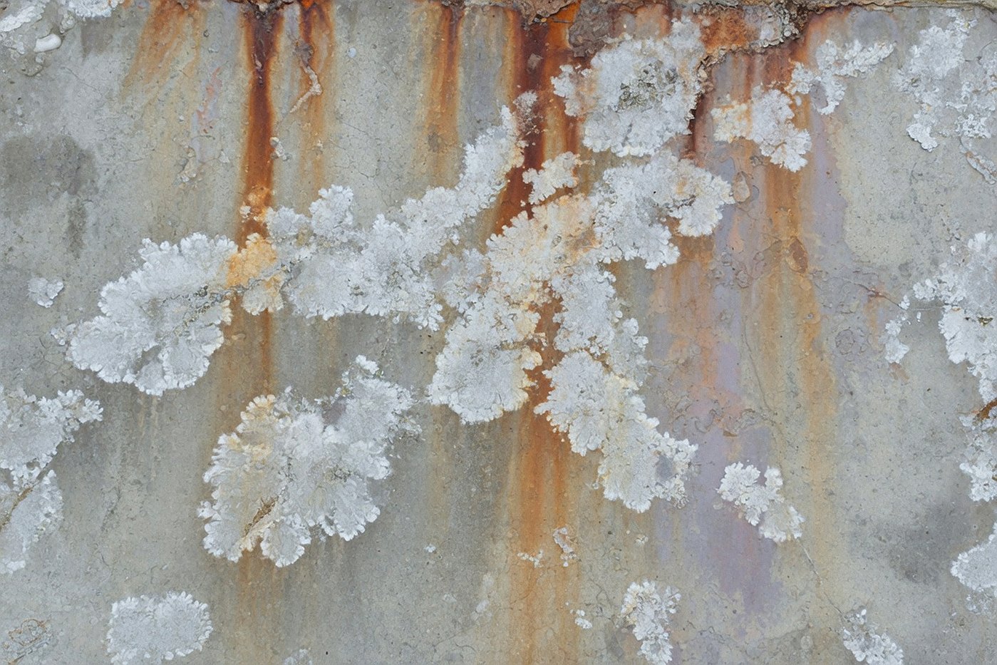 Alley Plaster