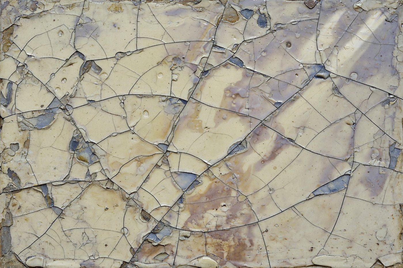 Glass Web