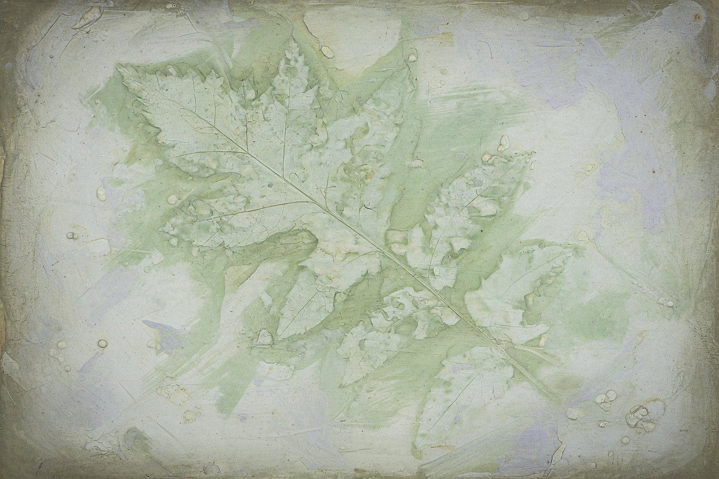 Pale Leaf